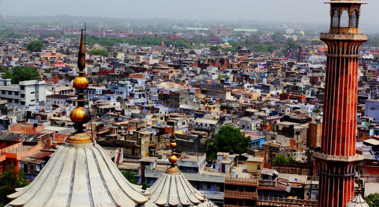 Old Delhi Heritage Walk