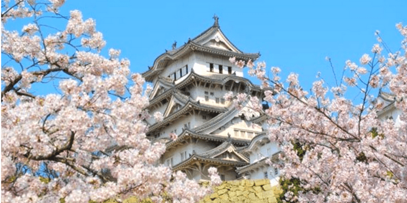 Tokyo Temples Morning Tour