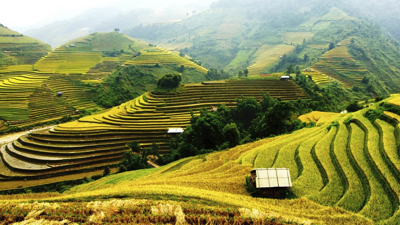 Best of Bali