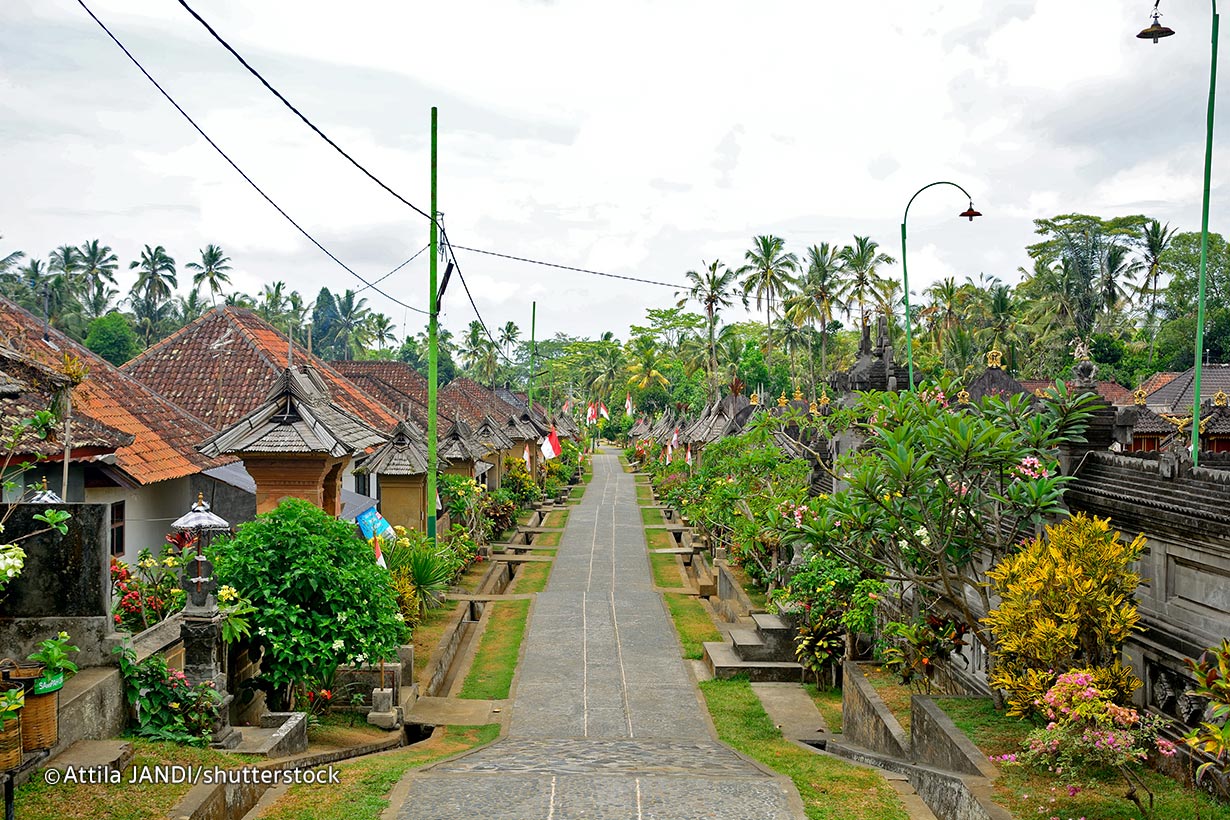 Cooking In The Villages Of Bali