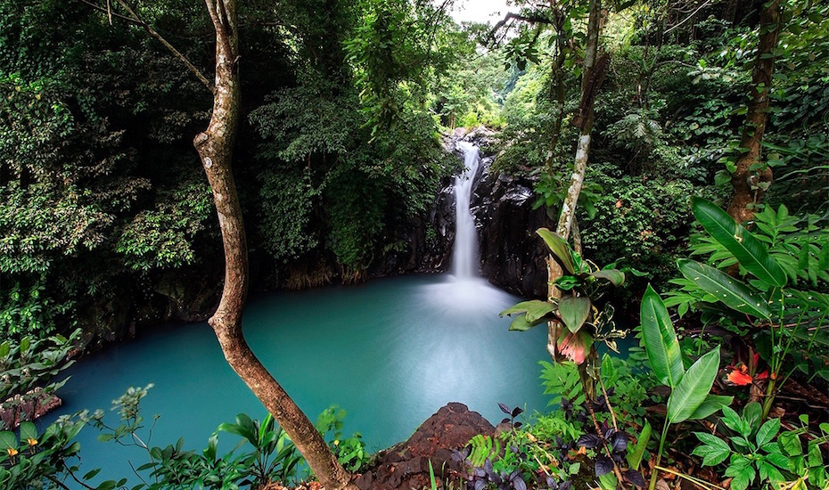 Amazing Waterfalls Tour: Ubud