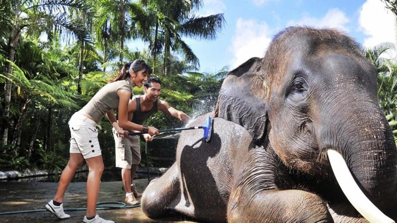 Bath & Breakfast With Elephants & Whitewater Rafting