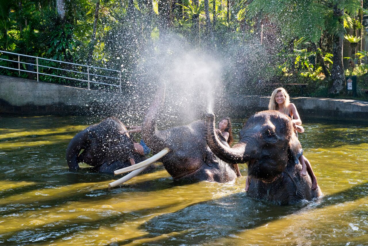 Bath & Breakfast With Elephants & Whitewater Rafting