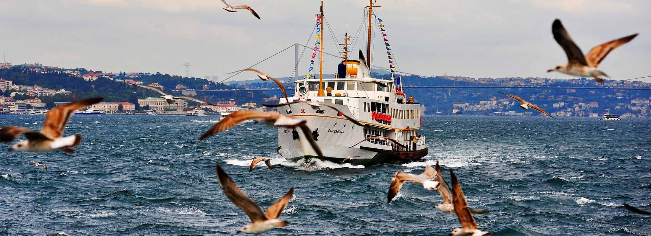 Istanbul Dinner Cruise
