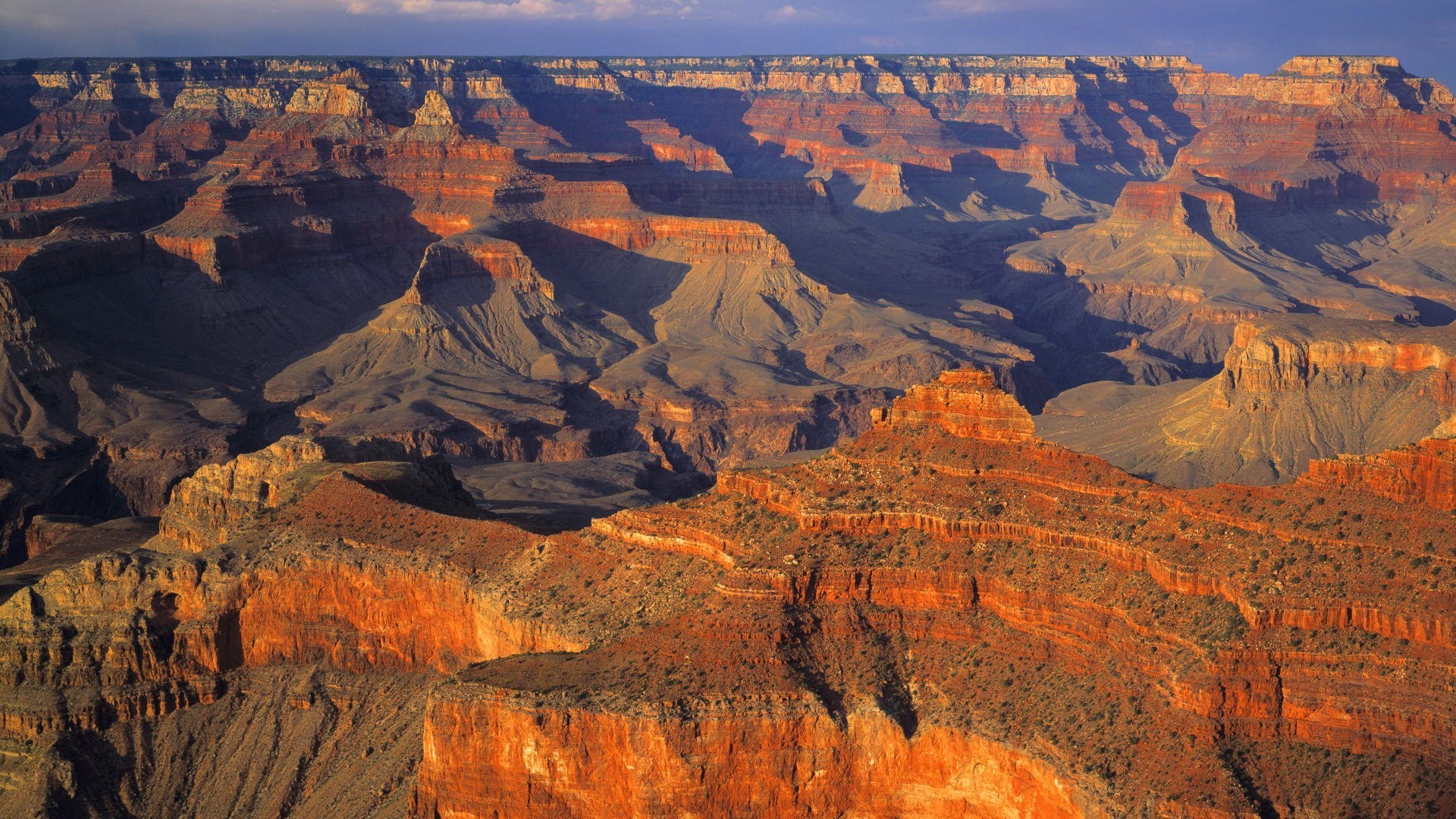 Grand Canyon South Rim Bus Tour
